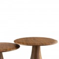 Mushroom Coffee Table PPT016